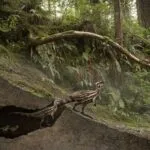 Un Dinosaurio Escondido En Una Madriguera Aragosaurus