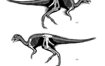 La ética entre investigadores. Kulindadromeus, Galvesaurus y otros comentarios