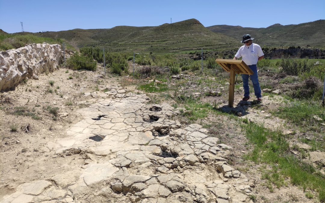 Las huellas de dinosaurios del río Cabra (Obón), un yacimiento único donde ver cómo los dinosaurios deformaban los sedimentos