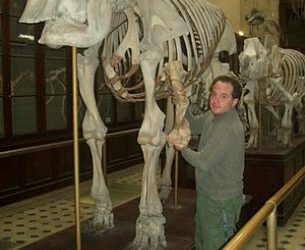 Arcotherium angustidens: un enorme oso de Argentina