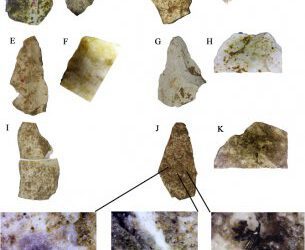 El registro paleontologico y arqueológico en cuevas