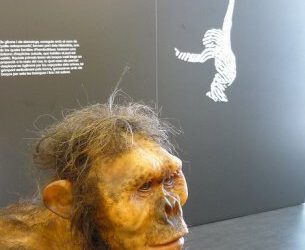 Exposición Casi Humanos en el ICP de Sabadell