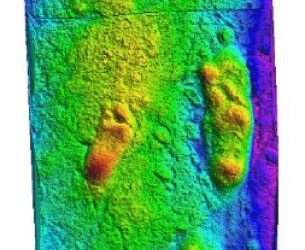 Praehominipes laetoliensis nuevo nombre para las icnitas homínidas de Laetoli