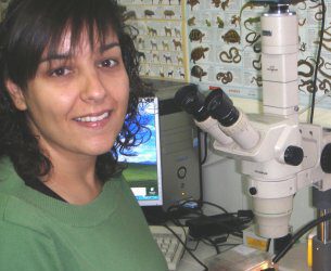 Las musarañas gigantes de Atapuerca mordían de verdad!