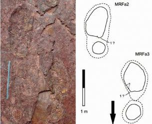 Las pisadas del gran rey Gesar son en realidad de dinosaurio