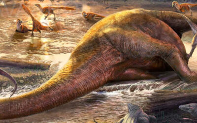 Amigos de Aragosaurus: Dani Navarro, Paleoilustrador