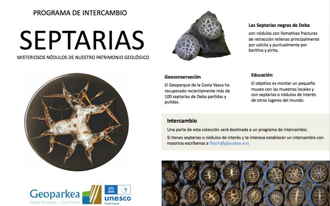 Las septarias del flysch negro de Deba