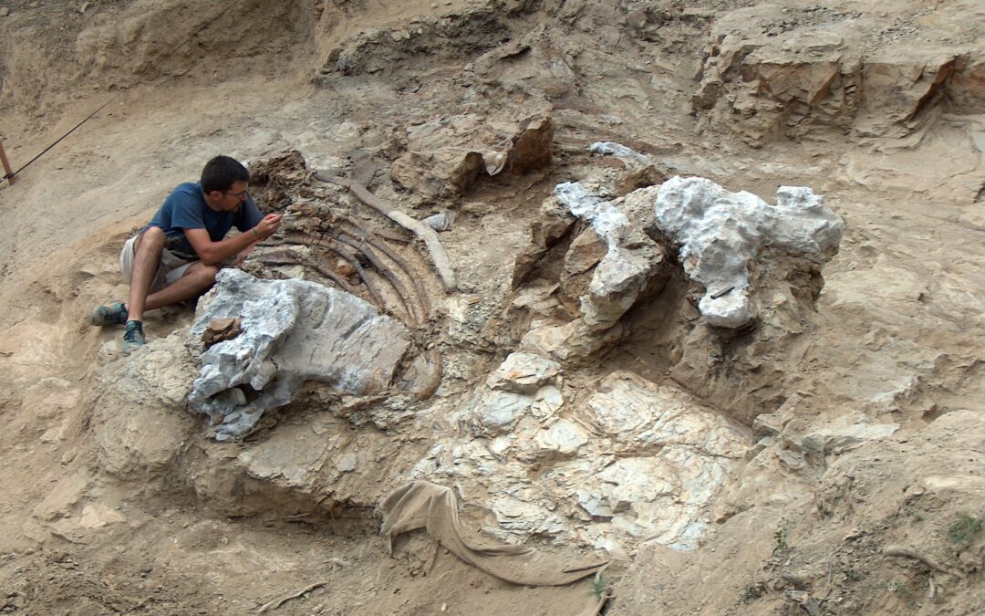 Garumbatitan, un nuevo dinosaurio gigante en el Cretácico inferior de Morella 