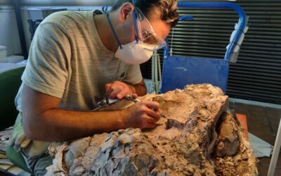 Técnicas de restauración en paleontología a través de la preparación de los huevos de dinosaurio de Loarre