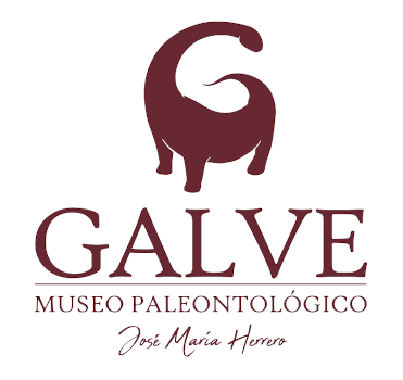 Museo Galve